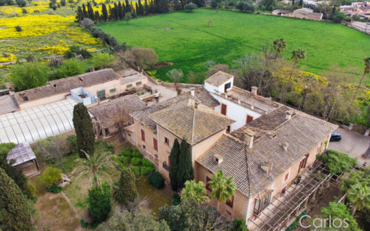 Estate- Privacy- Potencial-Mallorca-Views- Stables -012