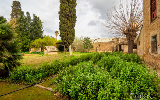 Estate- Privacy- Potencial-Mallorca-Views- Stables 