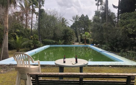 Piscina