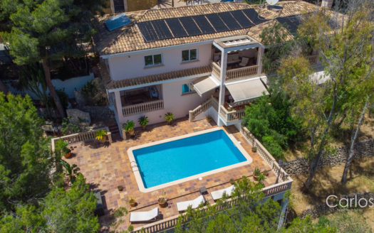 Villa-Costa den Blanes-Swimming pool.