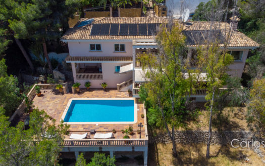 Villa-Costa den Blanes-Swimming pool.