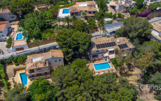 Villa-Costa den Blanes-Swimming pool.