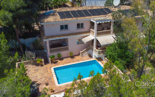 Villa-Costa den Blanes-Swimming pool.