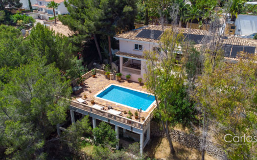 Villa-Costa den Blanes-Swimming pool.