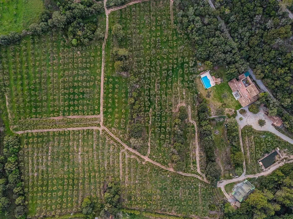 Bonita casa de campo en Esporlas con gran jardín y piscina.