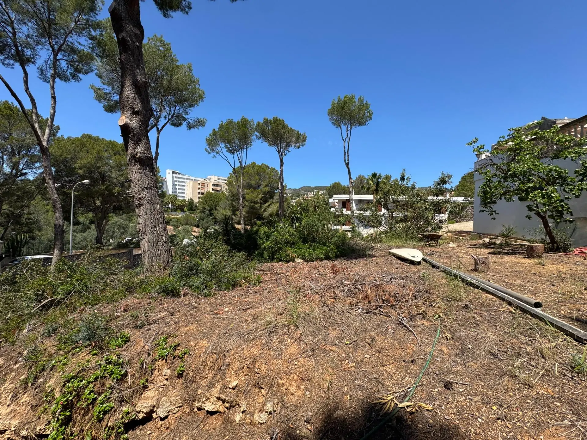 Oportunidad Única: Amplia Propiedad con Licencia para Vivienda Unifamiliar